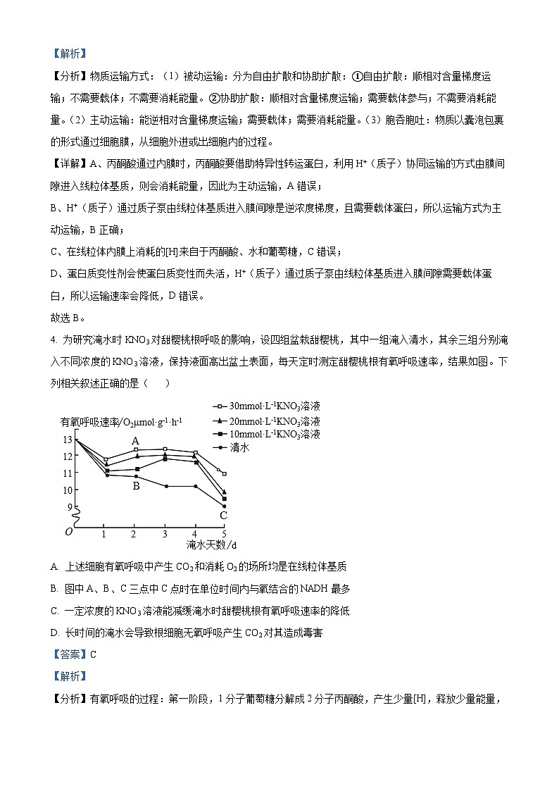 湖南省平江县颐华高级中学2024-2025学年高三上学期入学考试生物试题（解析版）第3页