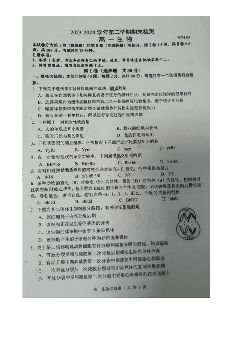 江苏省扬州市邗江中学2023-2024学年高一下学期期末考试生物试题第1页