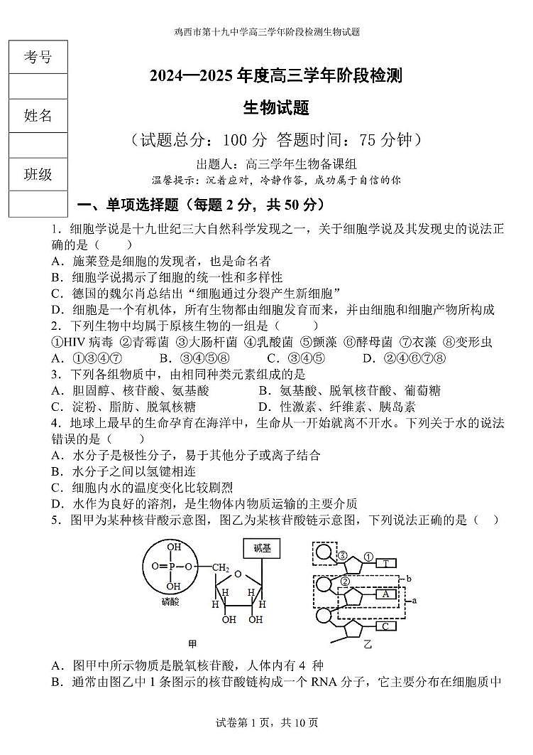 黑龙江省鸡西市第十九中学2024-2025学年高三上学期阶段检测生物试题01