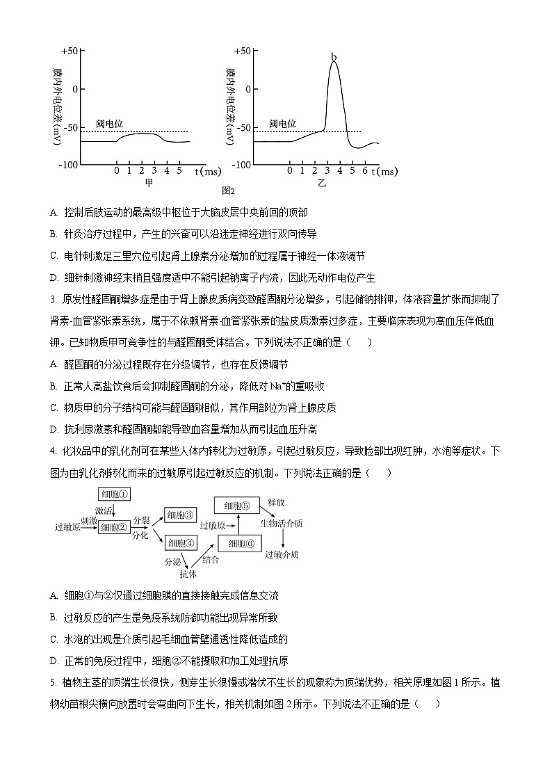 安徽省智学大联考皖中联盟2023-2024学年高二下学期期末考试生物试卷（Word版附答案）02