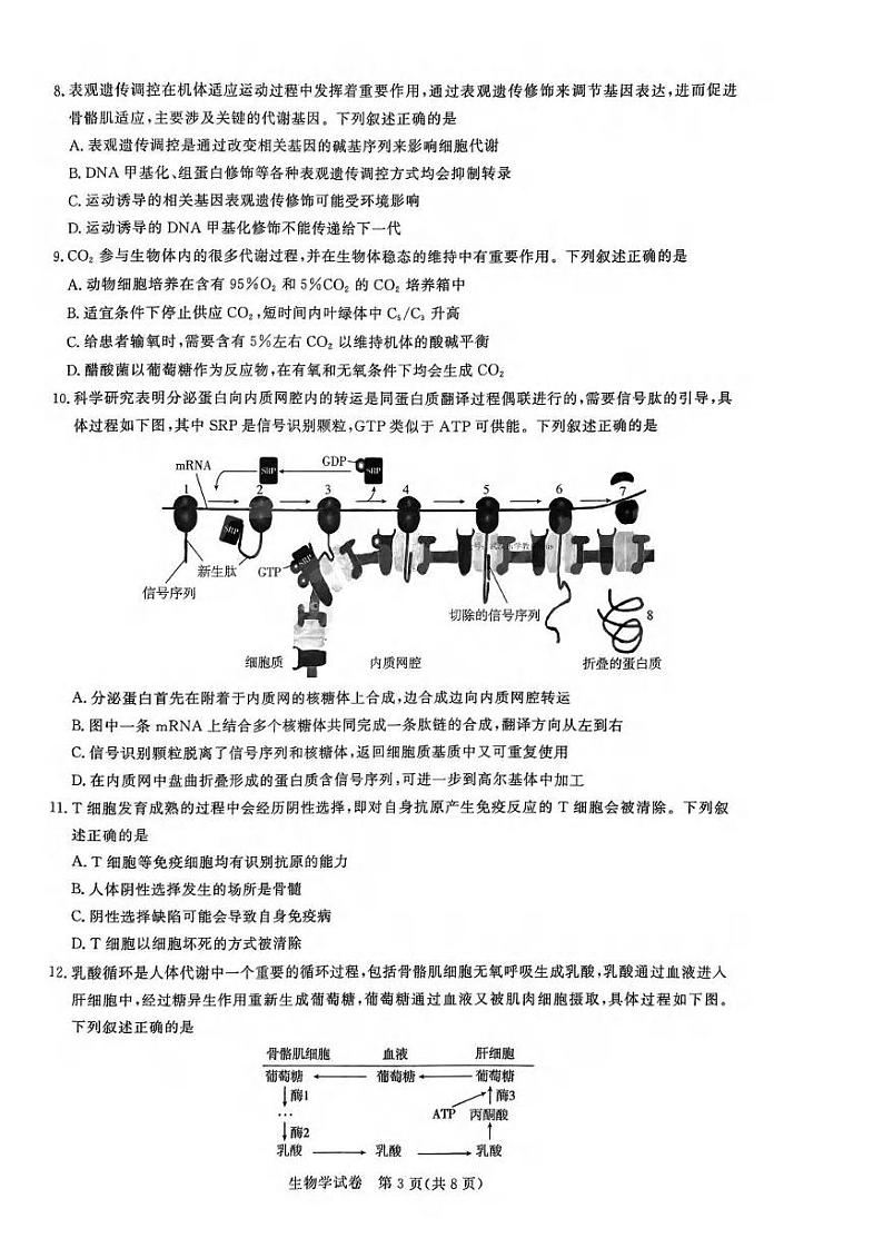 生物丨湖北省圆创联盟2025届高三8月开学考暨湖北省高中名校联盟2025届高三8月第一次联合测评生物试卷及答案第3页