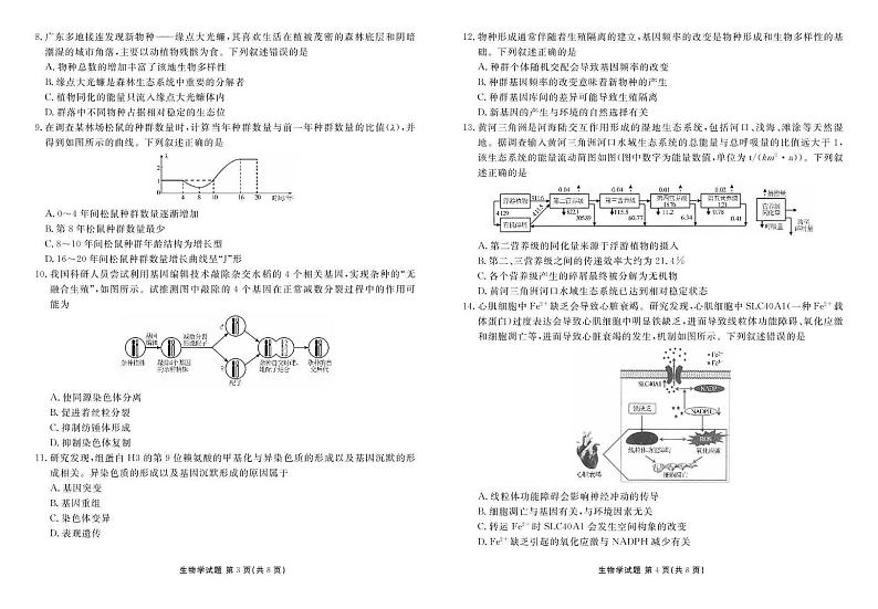 广东省部分学校（衡水金卷）2025届高三上学期8月开学联考生物试卷（PDF版附解析）02
