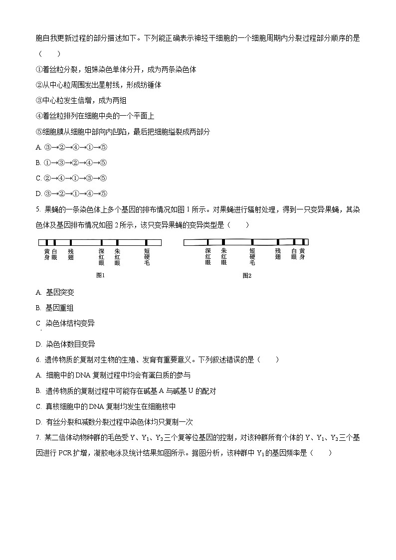贵州省黔东南苗族侗族自治州2025届高三上学期开学考试生物试卷（Word版附答案）第2页