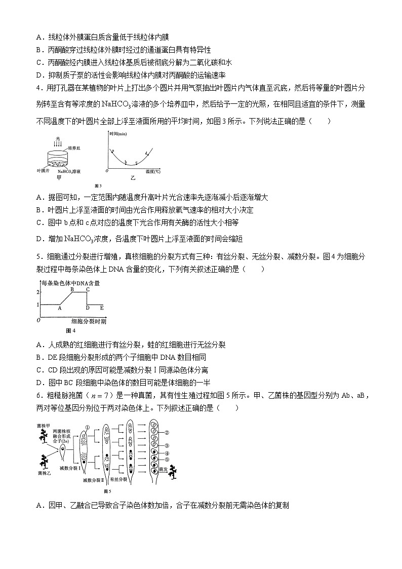云南省三校2025届高三上学期高考备考实用性联考（二）生物试卷（Word版附解析）第2页