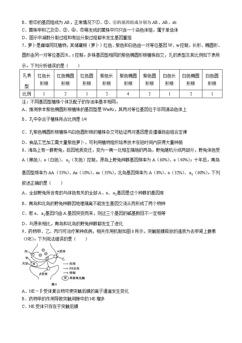 云南省三校2025届高三上学期高考备考实用性联考（二）生物试卷（Word版附解析）第3页