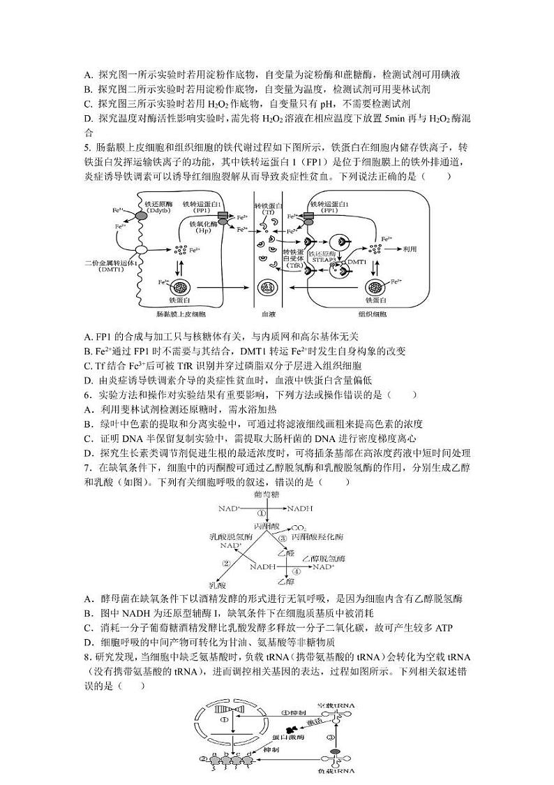 湖南省长沙市平高教育集团2024—2025学年高三上学期8月考试生物试题第2页