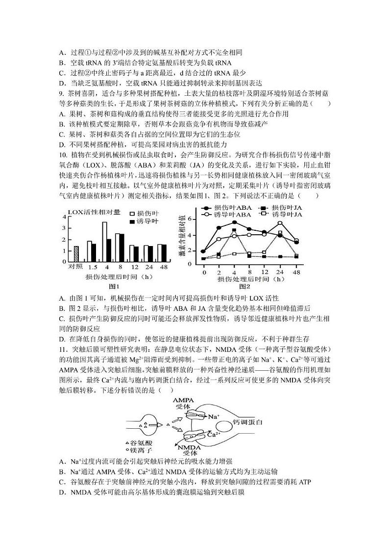 湖南省长沙市平高教育集团2024—2025学年高三上学期8月考试生物试题第3页