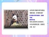 人教版（2019）高中生物必修一 1.1《细胞是生命活动的基本单位》课件