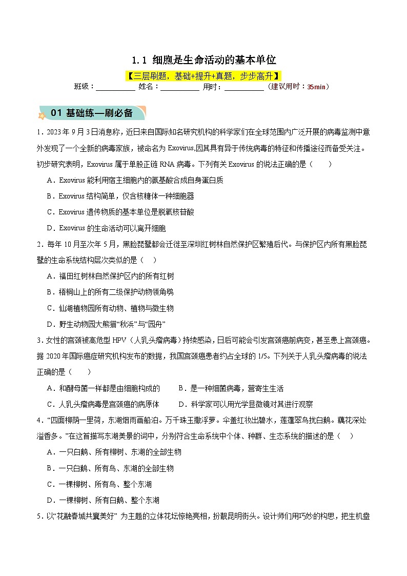 人教版（2019）高中生物必修一 1.1《细胞是生命活动的基本单位》分层作业（原卷+解析卷）01