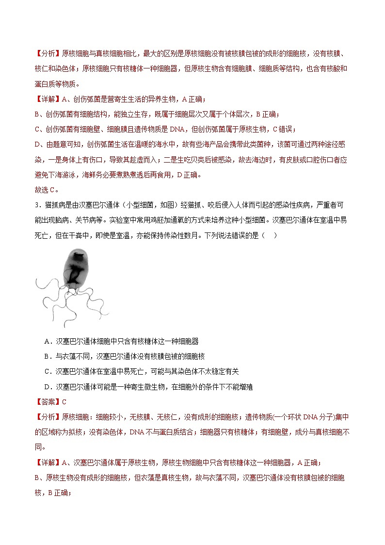 人教版（2019）高中生物必修一 1.2《细胞的多样性和统一性》分层作业（原卷+解析卷）02