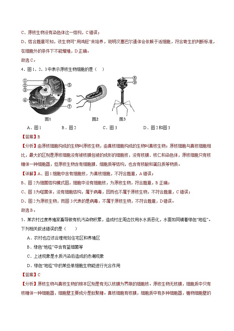 人教版（2019）高中生物必修一 1.2《细胞的多样性和统一性》分层作业（原卷+解析卷）03