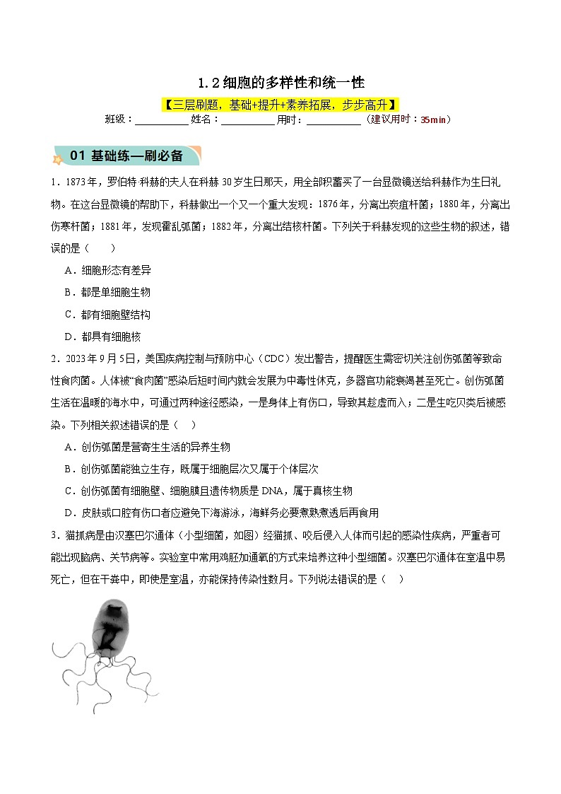 人教版（2019）高中生物必修一 1.2《细胞的多样性和统一性》分层作业（原卷+解析卷）01