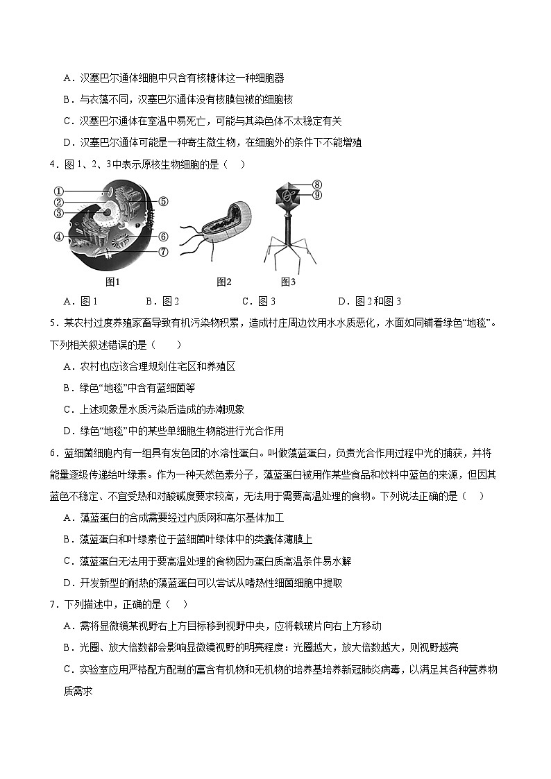 人教版（2019）高中生物必修一 1.2《细胞的多样性和统一性》分层作业（原卷+解析卷）02