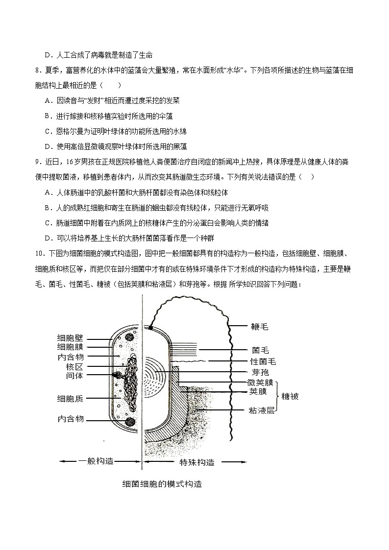 人教版（2019）高中生物必修一 1.2《细胞的多样性和统一性》分层作业（原卷+解析卷）03