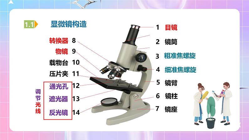 人教版（2019）高中生物必修一 1.2.1《显微镜的使用》课件04
