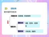 人教版（2019）高中生物必修一 1.2.2《细胞的多样性和统一性》课件