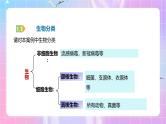 人教版（2019）高中生物必修一 1.2.2《细胞的多样性和统一性》课件