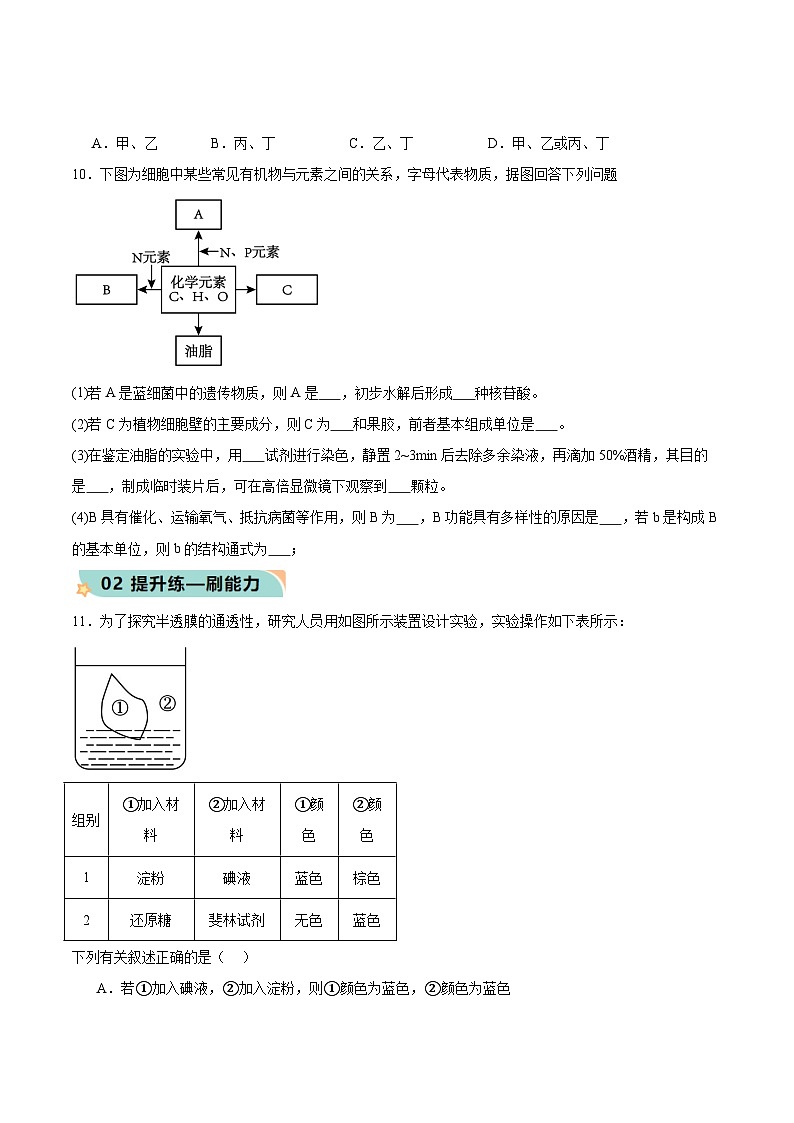 人教版（2019）高中生物必修一 2.1《细胞中的元素和化合物》分层作业（原卷版）第3页