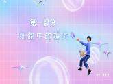 人教版（2019）高中生物必修一 2.3《细胞中的糖类和脂质》课件