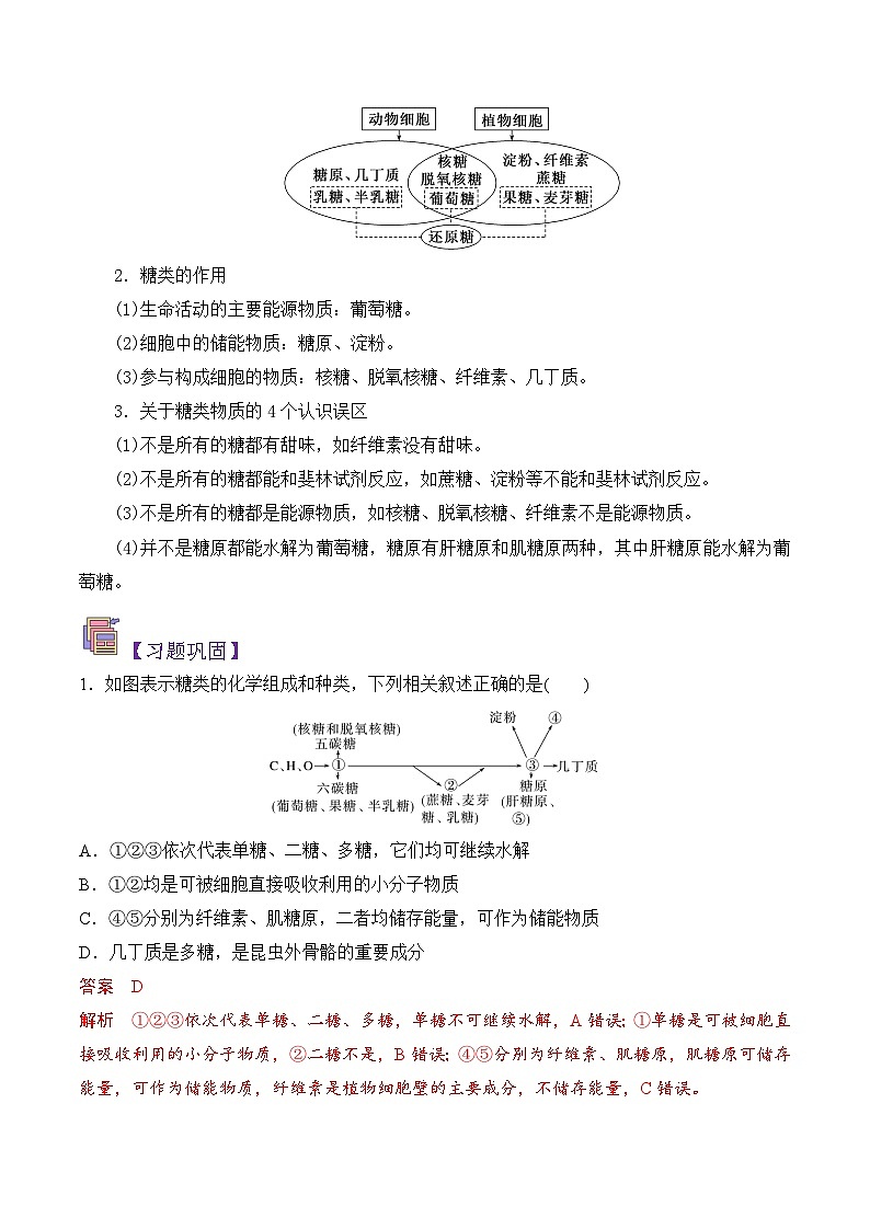 人教版（2019）高中生物必修一 2.3《细胞中的糖类和脂质》导学案（原卷+解析卷）03