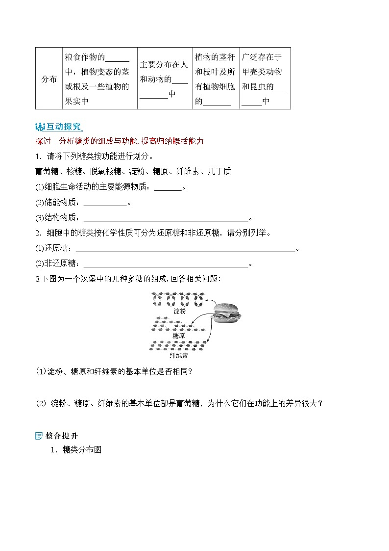 人教版（2019）高中生物必修一 2.3《细胞中的糖类和脂质》导学案（原卷+解析卷）02