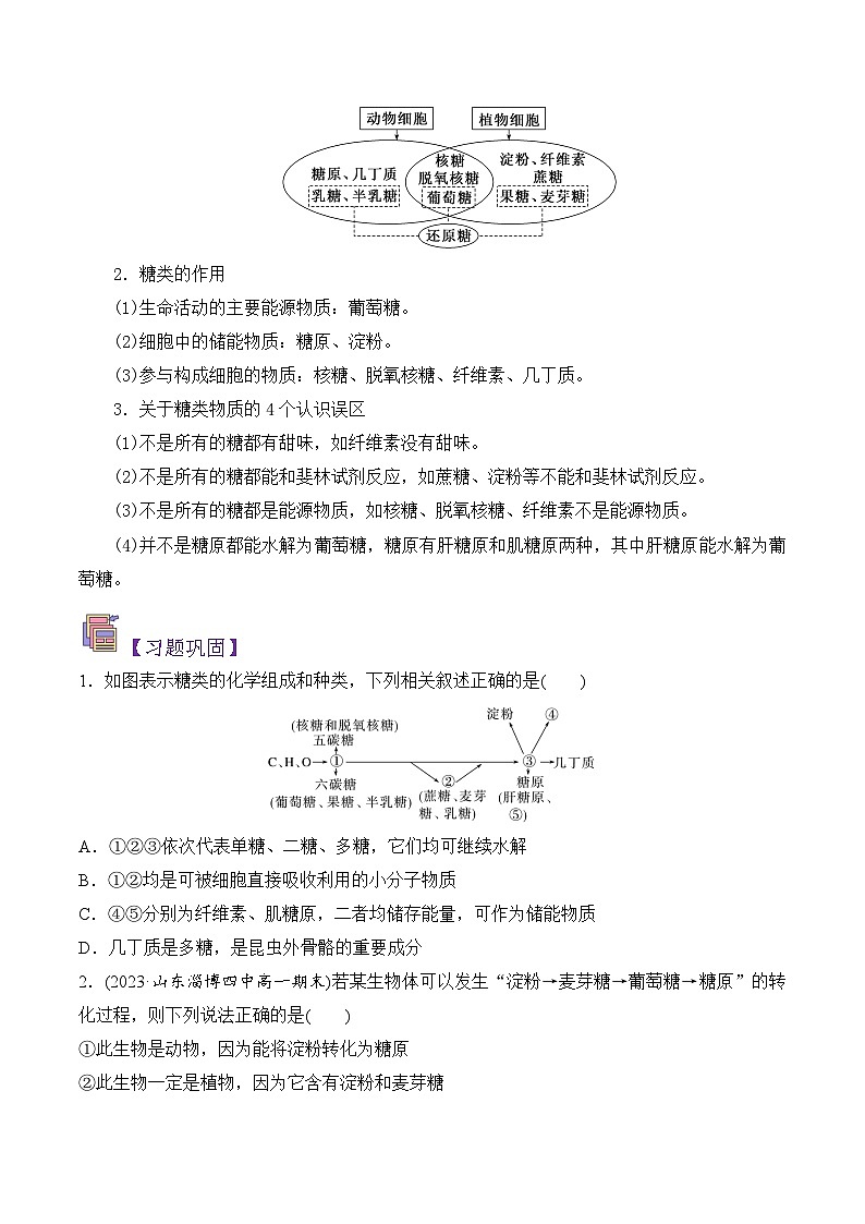 人教版（2019）高中生物必修一 2.3《细胞中的糖类和脂质》导学案（原卷+解析卷）03