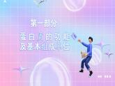 人教版（2019）高中生物必修一 2.4《蛋白质是生命活动的主要承担者》课件