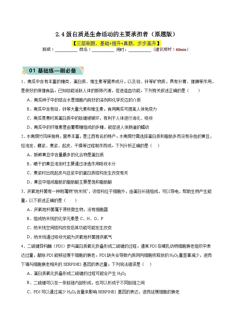 人教版（2019）高中生物必修一 2.4《蛋白质是生命活动的主要承担者》分层作业（原卷+解析卷）01