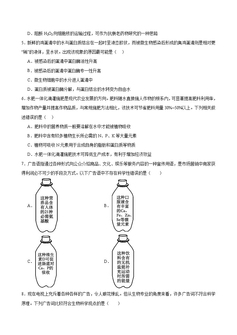人教版（2019）高中生物必修一 2.4《蛋白质是生命活动的主要承担者》分层作业（原卷+解析卷）02