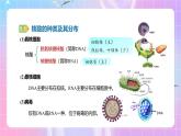 人教版（2019）高中生物必修一 2.5《核酸是遗传信息的携带者》课件