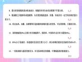 人教版（2019）高中生物必修一 第2章《组成细胞的分子》单元复习课件