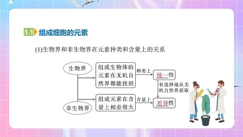 人教版（2019）高中生物必修一 第2章《组成细胞的分子》单元复习课件06