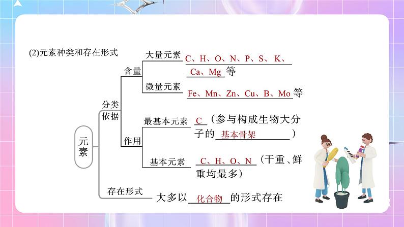 人教版（2019）高中生物必修一 第2章《组成细胞的分子》单元复习课件07