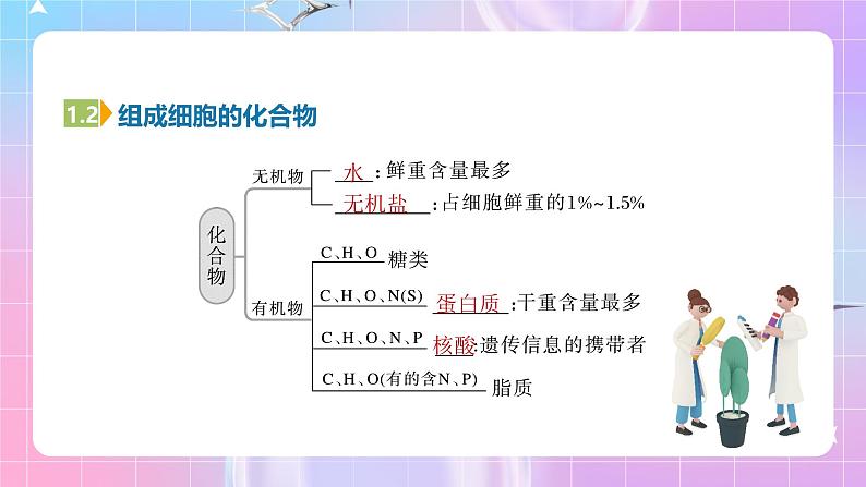 人教版（2019）高中生物必修一 第2章《组成细胞的分子》单元复习课件08