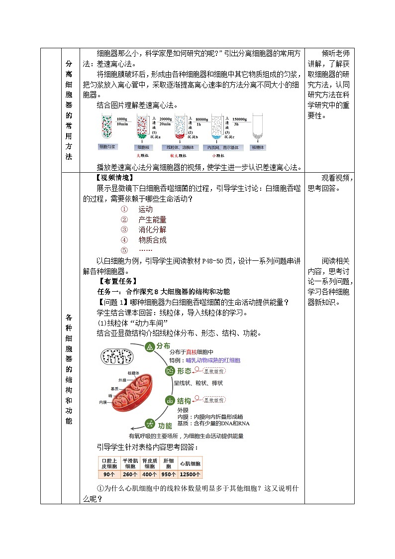 人教版（2019）高中生物必修一 3.2《细胞器之间的分工合作》教案03