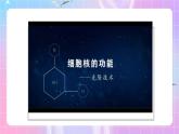 人教版（2019）高中生物必修一 3.3《细胞核的结构和功能》课件