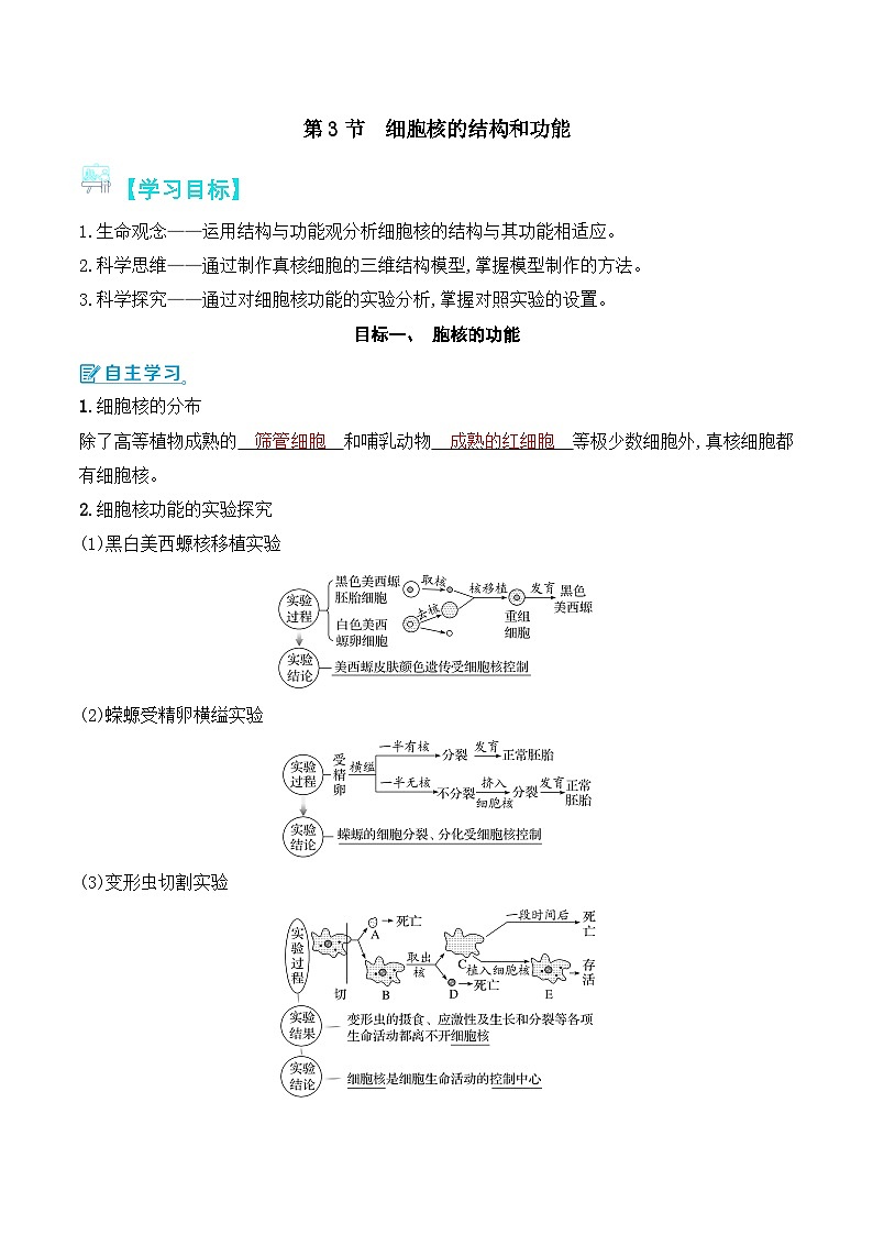 人教版（2019）高中生物必修一 3.3《细胞核的结构和功能》导学案（原卷+解析卷）01