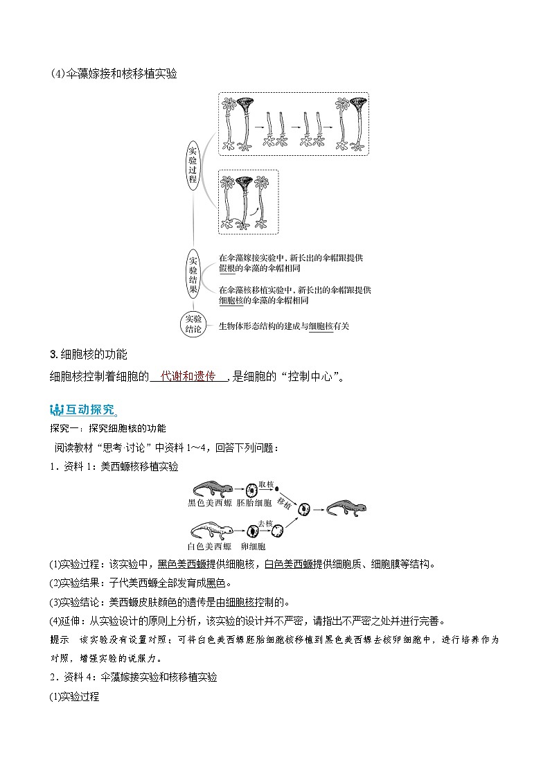 人教版（2019）高中生物必修一 3.3《细胞核的结构和功能》导学案（原卷+解析卷）02