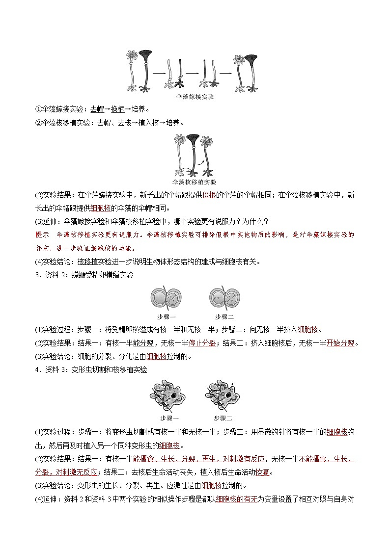 人教版（2019）高中生物必修一 3.3《细胞核的结构和功能》导学案（原卷+解析卷）03
