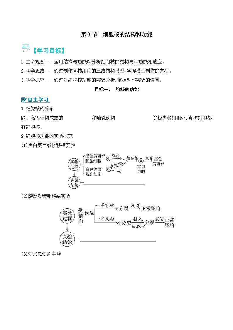 人教版（2019）高中生物必修一 3.3《细胞核的结构和功能》导学案（原卷+解析卷）01