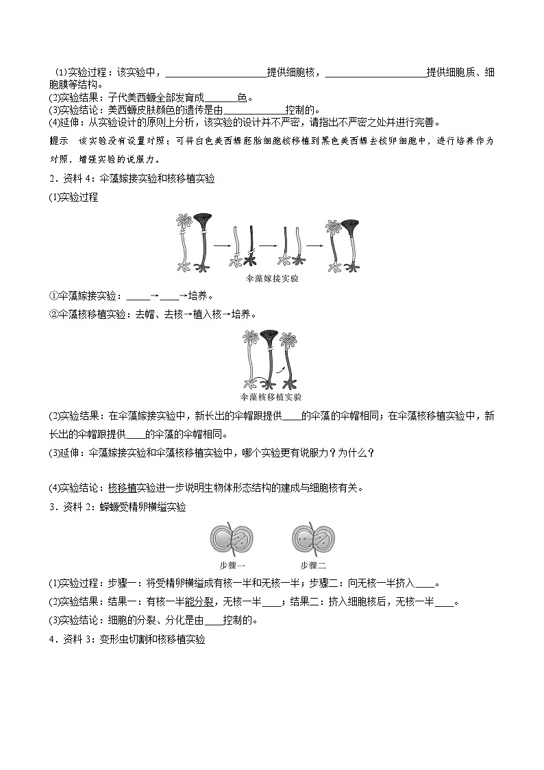 人教版（2019）高中生物必修一 3.3《细胞核的结构和功能》导学案（原卷+解析卷）03