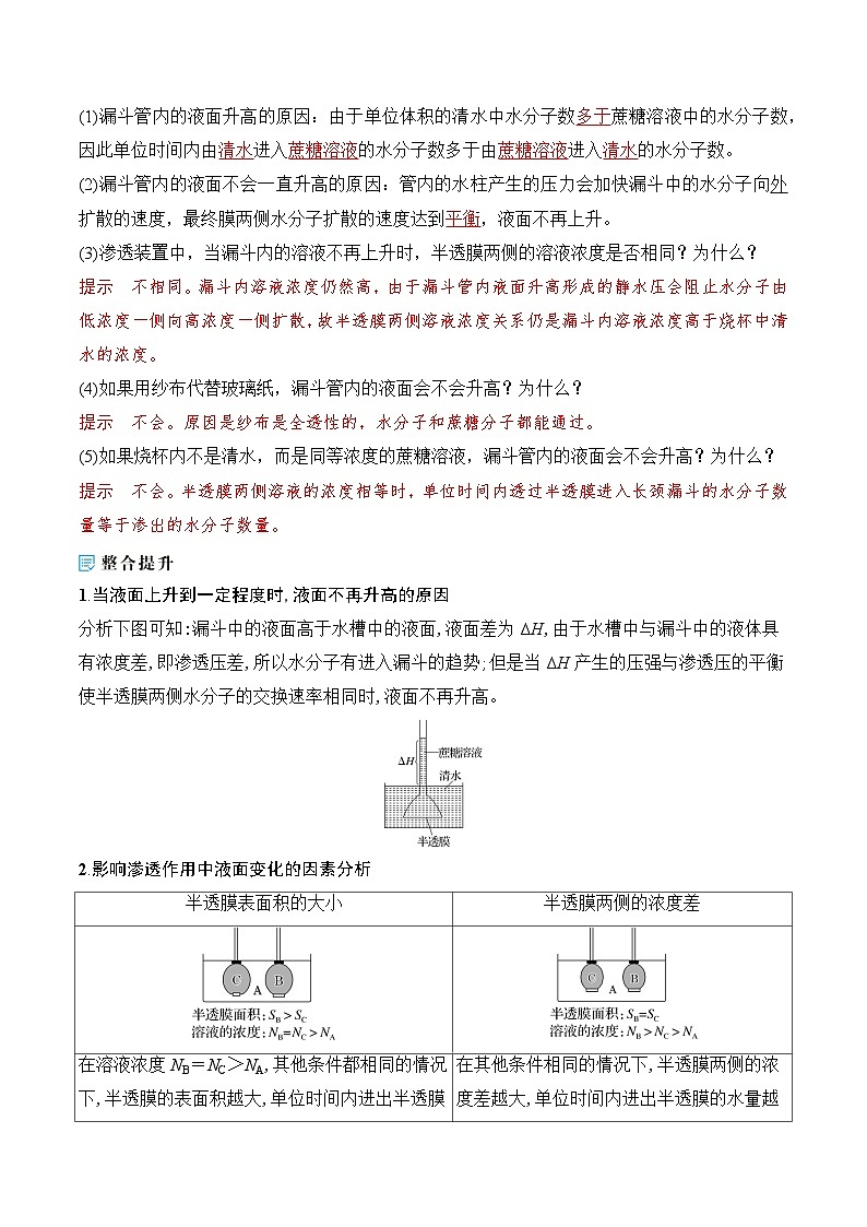 人教版（2019）高中生物必修一 4.1.1《水进出细胞的原理》导学案（原卷+解析卷）02
