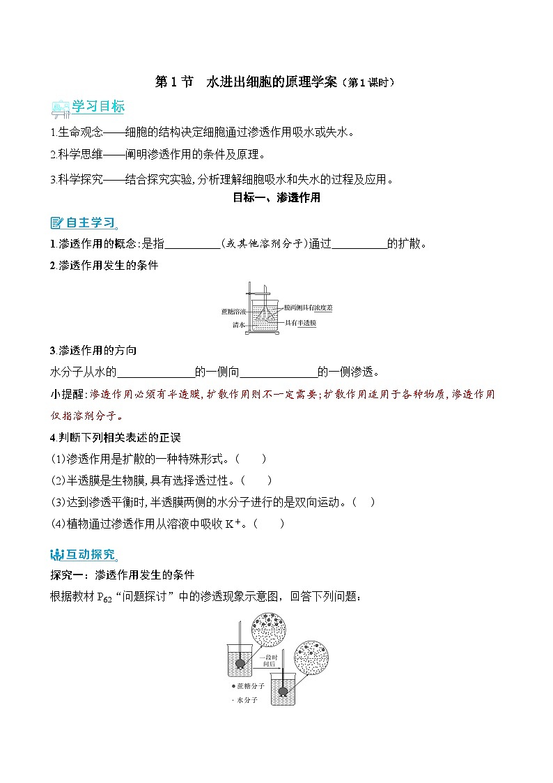 人教版（2019）高中生物必修一 4.1.1《水进出细胞的原理》导学案（原卷+解析卷）01
