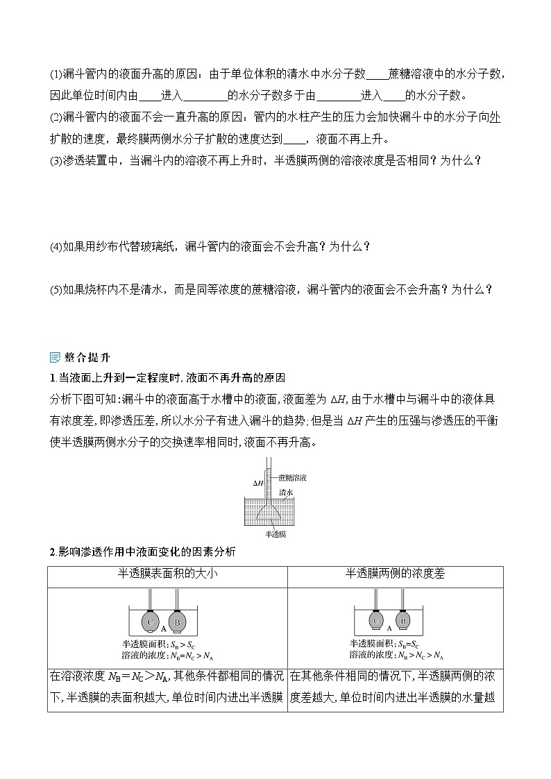 人教版（2019）高中生物必修一 4.1.1《水进出细胞的原理》导学案（原卷+解析卷）02