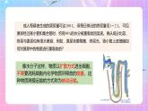 人教版（2019）高中生物必修一 4.1.2《被动运输》课件