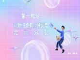 人教版（2019）高中生物必修一 6.1.2《细胞的增殖》课件