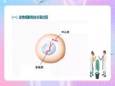 人教版（2019）高中生物必修一 6.1.2《细胞的增殖》课件