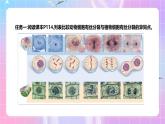 人教版（2019）高中生物必修一 6.1.2《细胞的增殖》课件