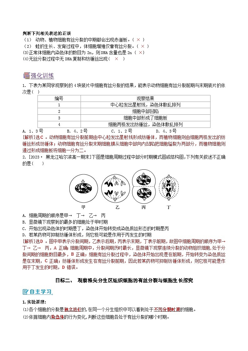 人教版（2019）高中生物必修一 6.1.2《细胞的增殖》导学案（原卷+解析卷）02