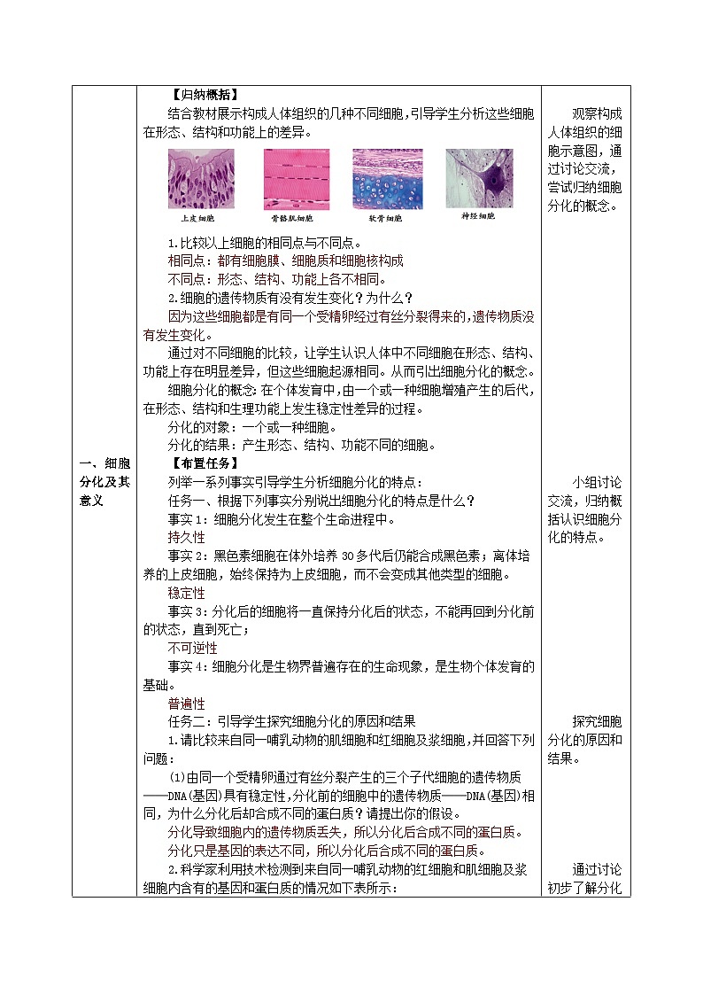 人教版（2019）高中生物必修一 6.2《细胞的分化》教案02